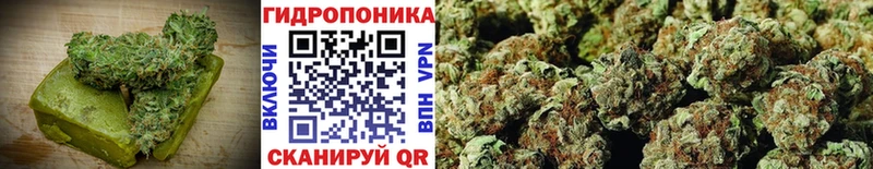 Купить закладки  Аксай  Cannafood конопля 