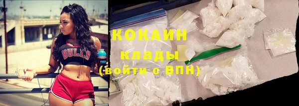прущие грибы Приозерск