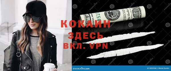 прущие грибы Приозерск