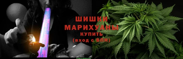 прущие грибы Приозерск