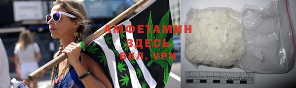 прущие грибы Приозерск