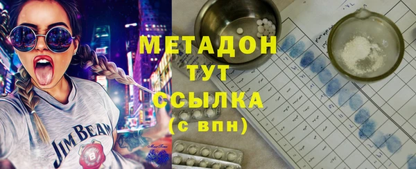 прущие грибы Приозерск