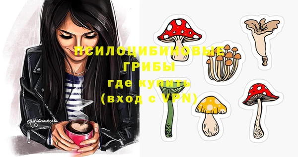 прущие грибы Приозерск