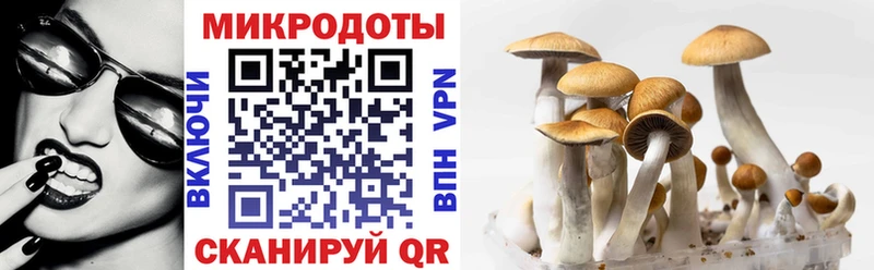 Галлюциногенные грибы MAGIC MUSHROOMS  Купить  Аксай 